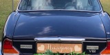 Jaguar XJ12 do ślubu, sesji | Auto do ślubu Warszawa, mazowieckie - zdjęcie 5