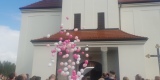 Mega Prezent Pudło balonów, Balony LED, balony na sale & fotobudka. | Balony, bańki mydlane Rybnik, łódzkie - zdjęcie 5