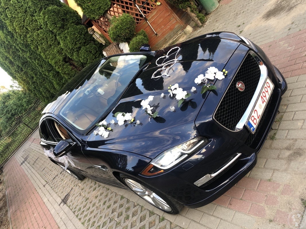 Jaguar XJ na Wasze Wesele Ślub, Kolno - zdjęcie 1