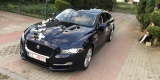Jaguar XJ na Wasze Wesele Ślub, Kolno - zdjęcie 4