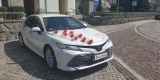 Auto do Ślubu -Toyota Camry nie  Lexus, Audi, Mercedes, BMW, Katowice - zdjęcie 2