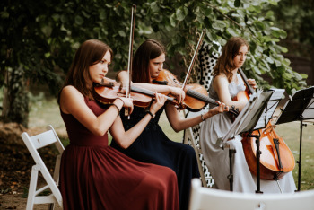 Trio Gracja - oprawa muzyczna, Oprawa muzyczna ślubu Cybinka