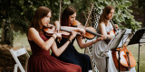 Trio Gracja | Oprawa muzyczna ślubu Poznań, wielkopolskie - zdjęcie 3