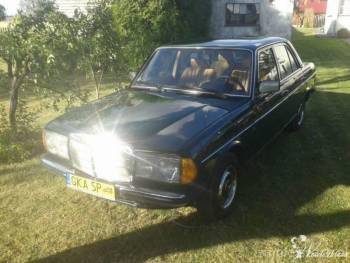 Zabytkowy Mercedes-Benz W123 78 r. wynajem ślub , Samochód, auto do ślubu, limuzyna Gdynia