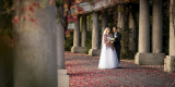 Wedding Time - 4K, Radomsko - zdjęcie 8