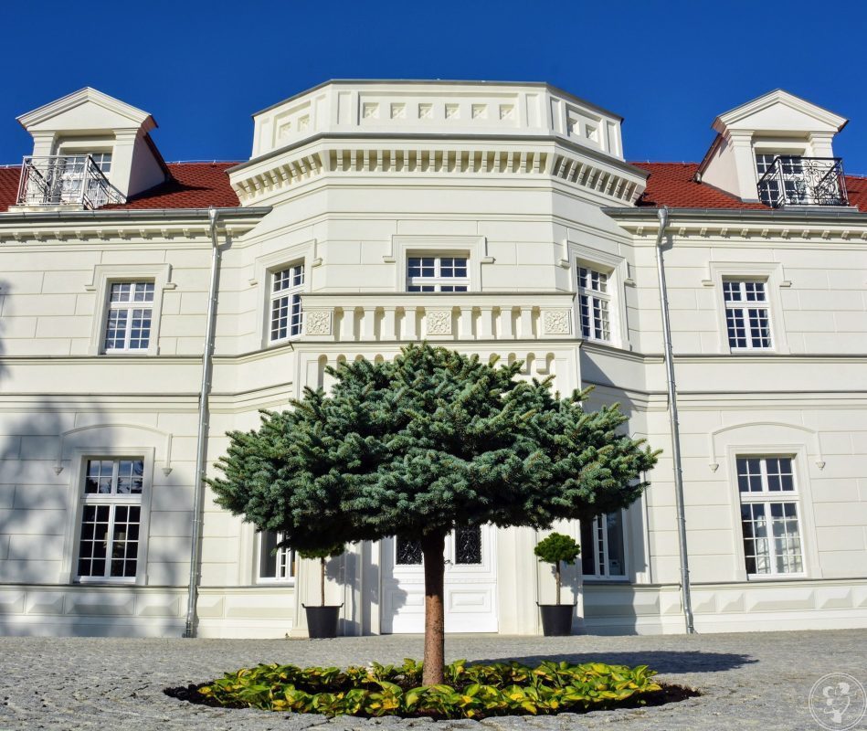 Pałac na Opieszynie | Sala weselna Września, wielkopolskie - zdjęcie 1