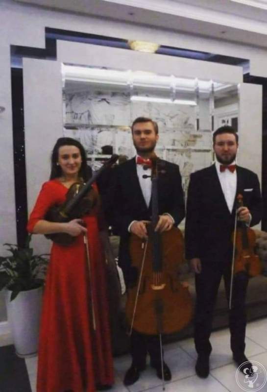Oprawa muzyczna, trio virtuosi skrzypce altówka wiolonczela | Oprawa muzyczna ślubu Bydgoszcz, kujawsko-pomorskie - zdjęcie 1