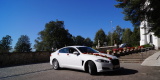 Jaguar XF biała perła | Auto do ślubu Kraków, małopolskie - zdjęcie 5