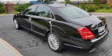 Limuzyna Mercedes S-Klasa Long. Piękna, czarna z jasną tapicerką., Świątniki Górne - zdjęcie 3