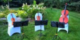 Przepiękna oprawa muzyczna ślubu- MOON QUARTET i Przyjaciele :), Warszawa - zdjęcie 6