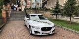 Jaguar XF - Wasz idealny samochód do ślubu - wolne terminy!, Kraków - zdjęcie 6