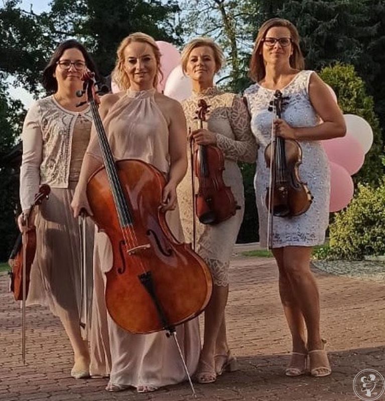 kwartet smyczkowy | Oprawa muzyczna ślubu Lublin, lubelskie - zdjęcie 1