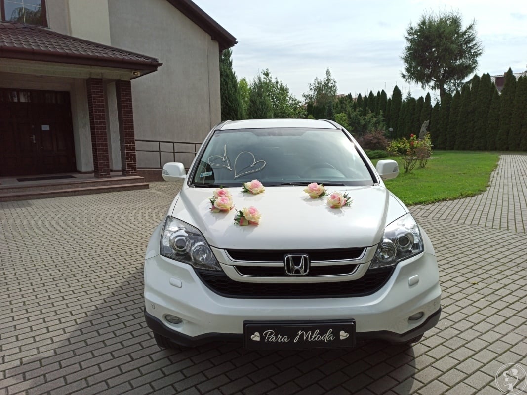 Biała Honda CR-V | Auto do ślubu Przasnysz, mazowieckie - zdjęcie 1