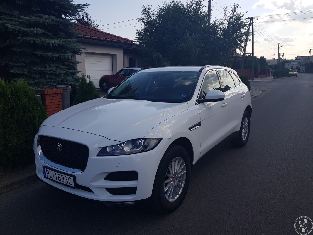Jaguar F-Pace Biały | Auto do ślubu Leszno, wielkopolskie - zdjęcie 1