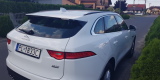 Jaguar F-Pace Biały | Auto do ślubu Leszno, wielkopolskie - zdjęcie 3