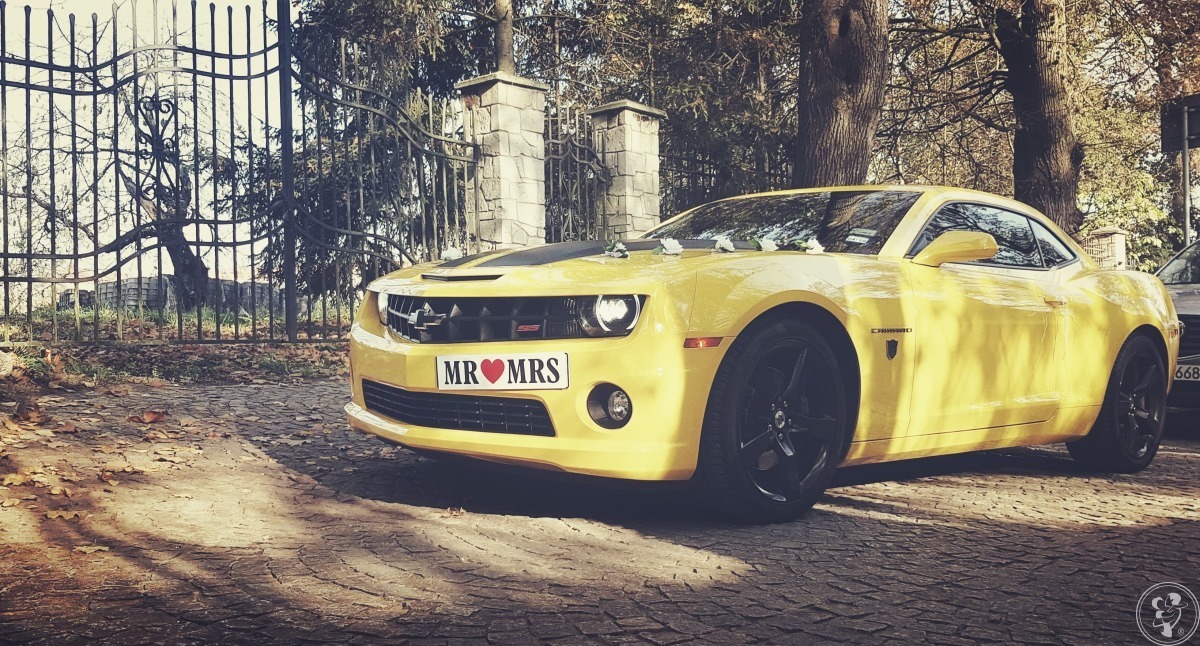 Camaro do ślubu Transformers Bumblebee auto do ślubu auto na wesele | Auto do ślubu Kielce, świętokrzyskie - zdjęcie 1