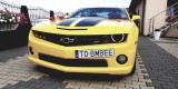 Camaro do ślubu Transformers Bumblebee auto do ślubu auto na wesele | Auto do ślubu Kielce, świętokrzyskie - zdjęcie 5