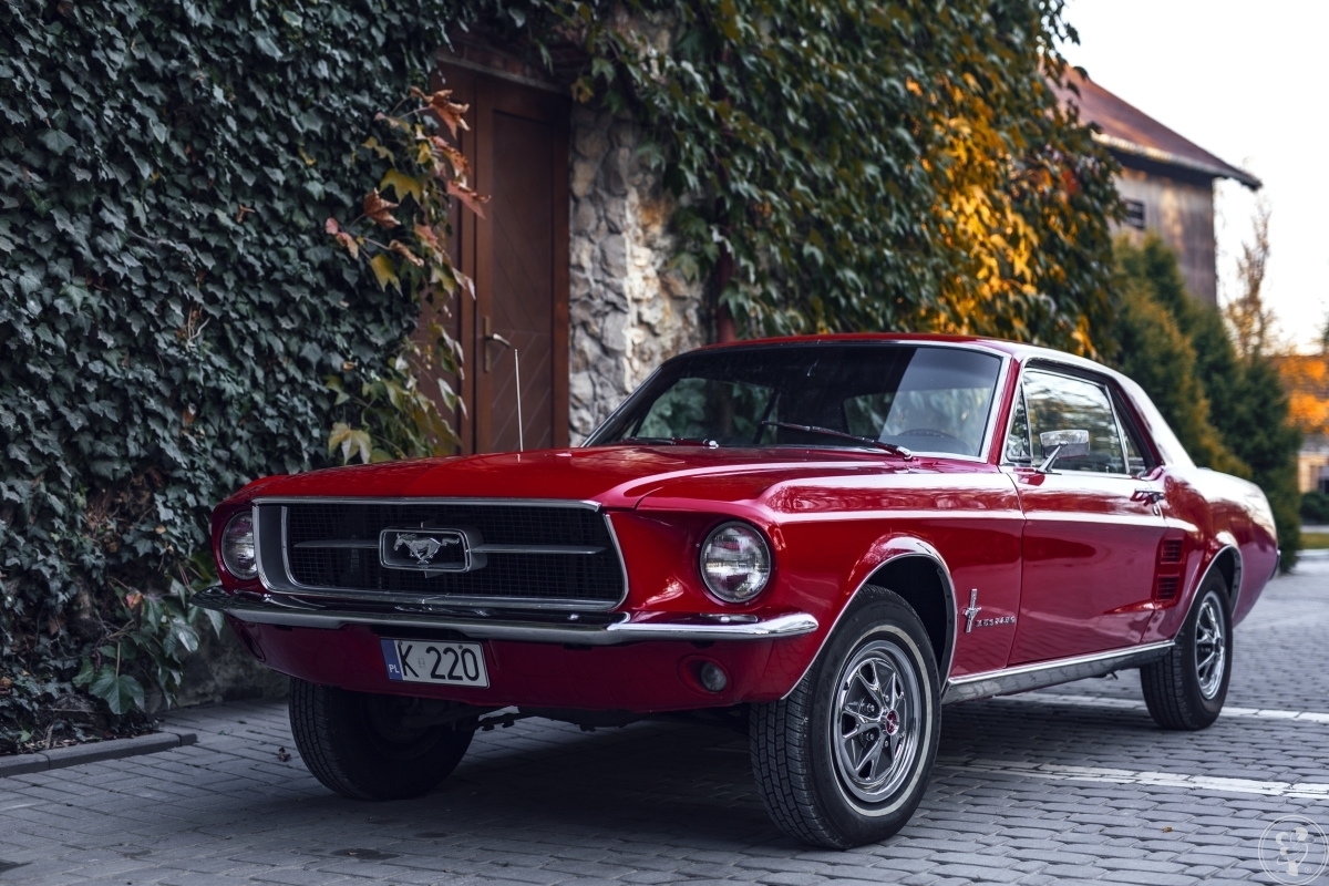 Czerwony Ford Mustang 1967 | Auto do ślubu Kraków, małopolskie - zdjęcie 1