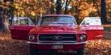 Czerwony Ford Mustang 1967 | Auto do ślubu Kraków, małopolskie - zdjęcie 2