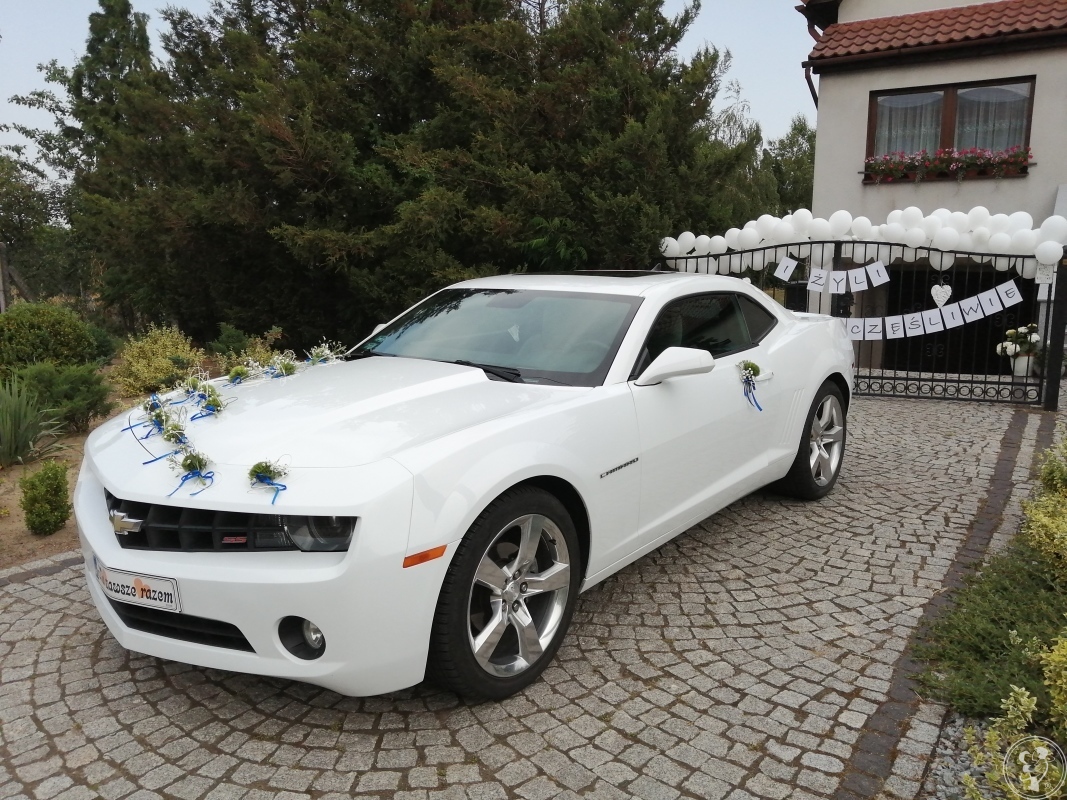 Auto do Ślubu CAMARO biała PERŁA Wesele Ślub Mercedes Golf I CABRIOLET, Żary - zdjęcie 1
