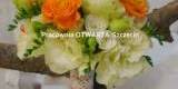 kwiaty na ślub, dekoracje dla wymagających , Szczecin - zdjęcie 2