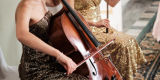 Love and Music-najpiękniejsza muzyka na ślub KWARTET SMYCZKOWY , HARFA, Warszawa - zdjęcie 5