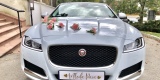 Jaguar XF - Wasz idealny samochód do ślubu - wolne terminy!, Kraków - zdjęcie 5