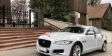 Jaguar XF - Wasz idealny samochód do ślubu - wolne terminy!, Kraków - zdjęcie 4