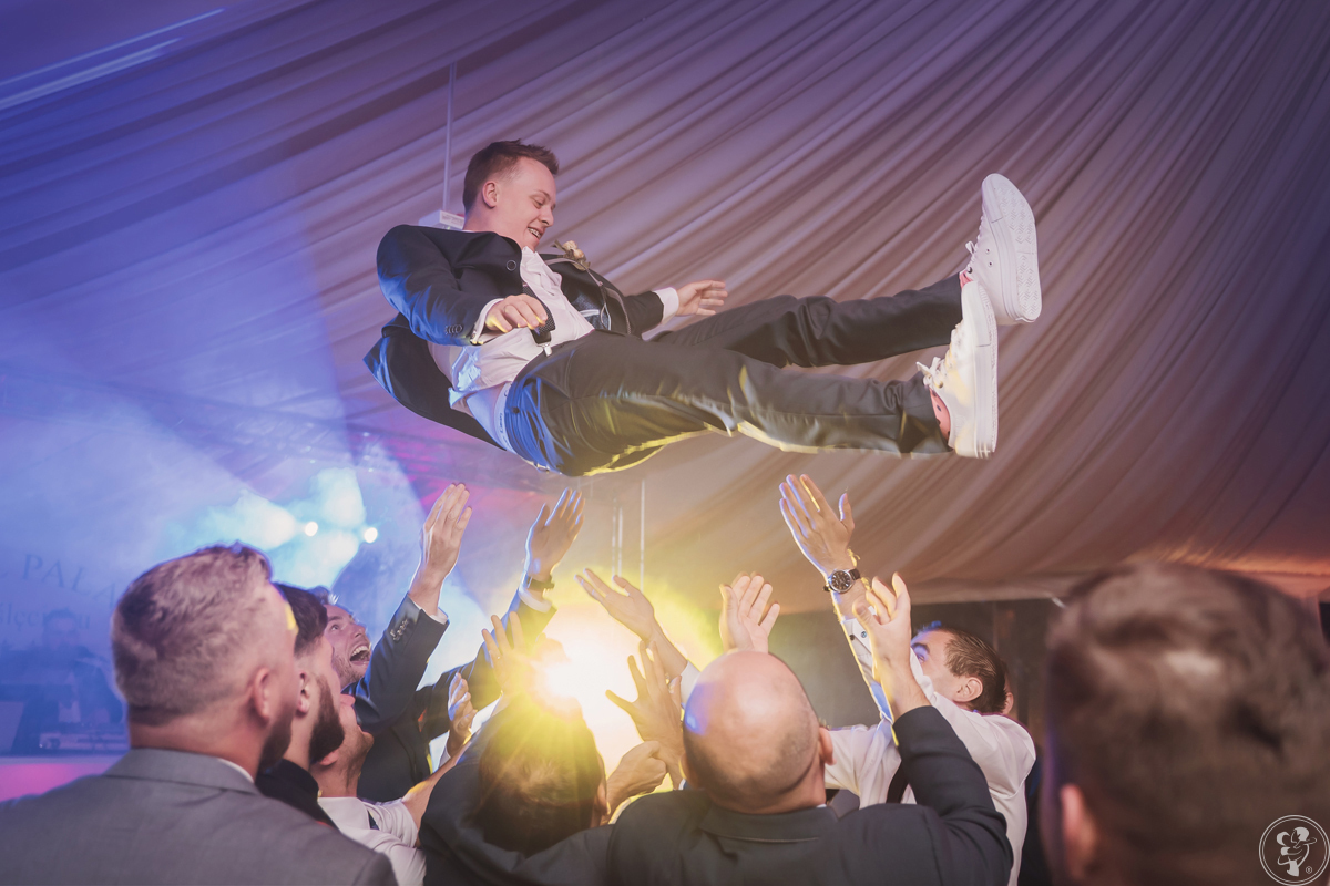 Art and Show - DJ, Wodzirej, Live Acty z Gwiazdami, Dekoracje światłem, Bydgoszcz - zdjęcie 1