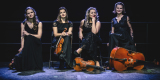 Kwartet smyczkowy UpBeat Quartet, Wrocław - zdjęcie 3