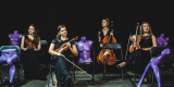 Kwartet smyczkowy UpBeat Quartet, Wrocław - zdjęcie 6