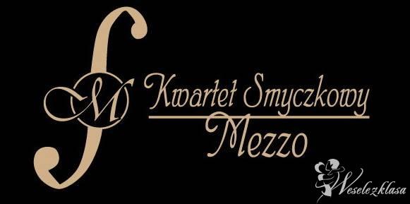 Kwartet Smyczkowy Mezzo - oprawa muzyczna  | Oprawa muzyczna ślubu Łódź, łódzkie - zdjęcie 1