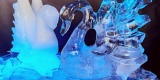 Weselne rzeźby lodowe, bary lodowe, pokazy rzeźbienia na żywo ICE SHOW, Łódź - zdjęcie 2