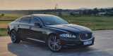 Jaguar XJ LONG, 5m30cm Luksusu, Warszawa - zdjęcie 2