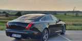 Jaguar XJ LONG, 5m30cm Luksusu, Warszawa - zdjęcie 3