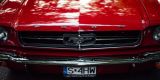 Czerwony Ford Mustang Cabrio 4.7 V8 | Auto do ślubu Rybnik, śląskie - zdjęcie 6
