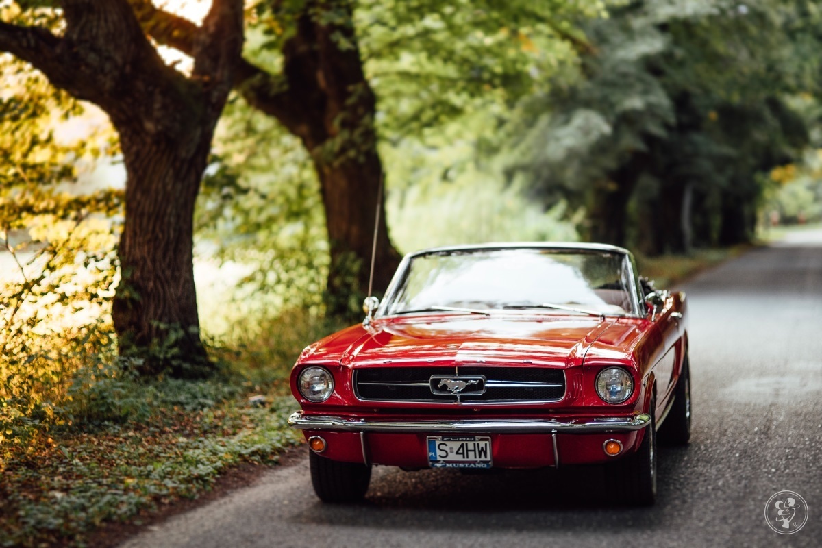 Czerwony Ford Mustang Cabrio 4.7 V8 | Auto do ślubu Rybnik, śląskie - zdjęcie 1