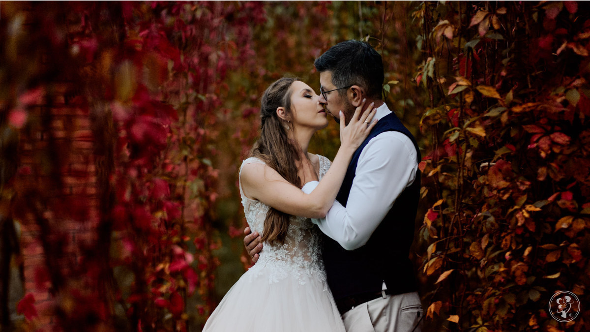 Studio Kadru - Fotografia ślubna - Sesje Ślubne - Sesje Narzeczeńskie, Bydgoszcz - zdjęcie 1