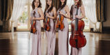 Glamour String Quartet - Skomponuj ślub swoich marzeń, Katowice - zdjęcie 2