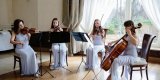 Glamour String Quartet - Skomponuj ślub swoich marzeń, Katowice - zdjęcie 5
