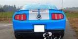 Mustang GT | Auto do ślubu Palowice, śląskie - zdjęcie 2
