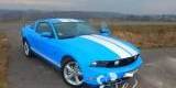 Mustang GT | Auto do ślubu Palowice, śląskie - zdjęcie 3