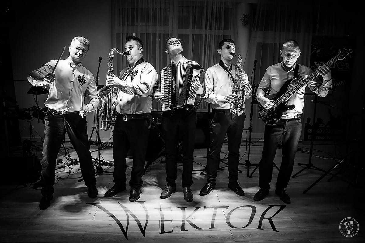 WEKTOR Zespół muzyczny, Kraków - zdjęcie 1