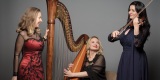 Trio Lyrico HARFA KONCERTOWA ŚPIEW SKRZYPCE, Poznań - zdjęcie 2