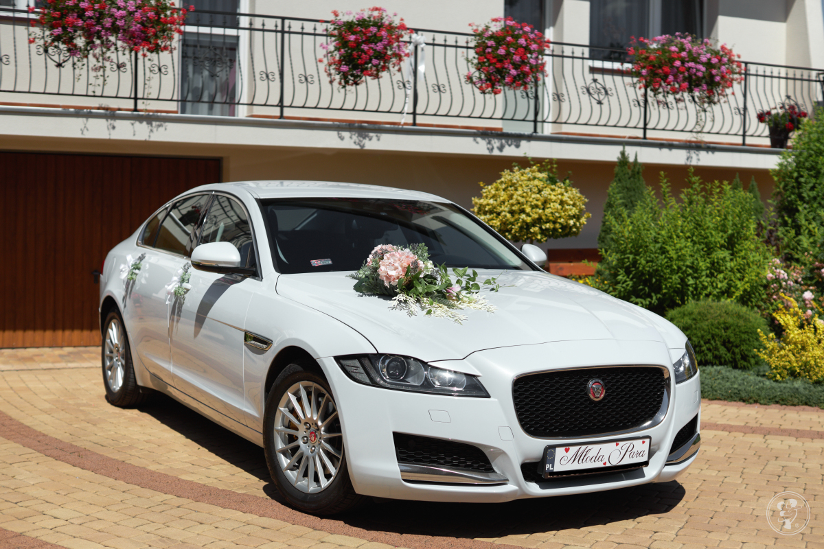 Jaguar XF - Wasz idealny samochód do ślubu - wolne terminy!, Kraków - zdjęcie 1