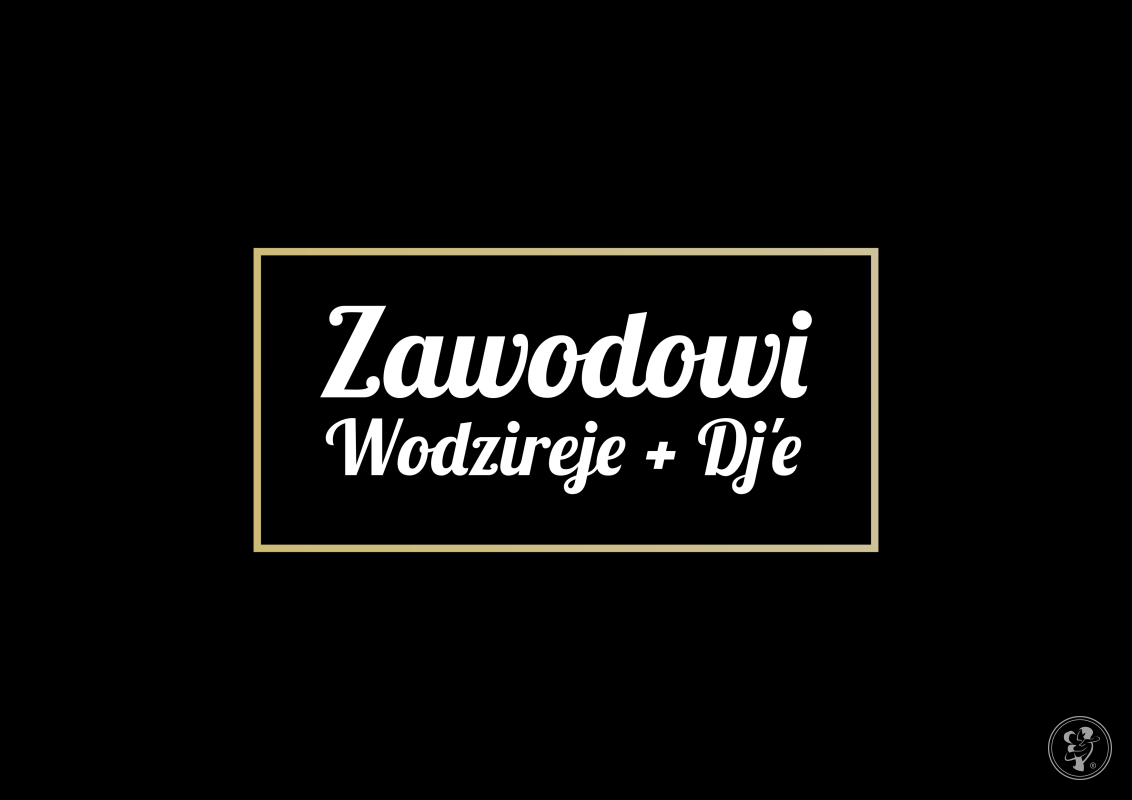 Zawodowi Wodzireje + DJ'e | DJ na wesele Warszawa, mazowieckie - zdjęcie 1