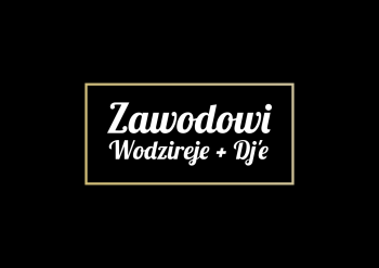 Zawodowi Wodzireje + DJ'e | DJ na wesele Warszawa, mazowieckie