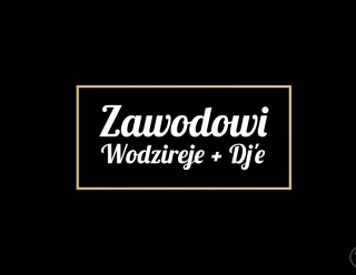 Zawodowi Wodzireje + DJ'e,  Warszawa