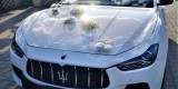 Białe Maserati SQ4 500KM i Garbus | Auto do ślubu Bytom, śląskie - zdjęcie 7