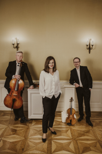 Trocken Trio - trio smyczkowe, Oprawa muzyczna ślubu Kraków